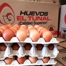 [HUE015] HUEVOS CAJA TUNAL ** A